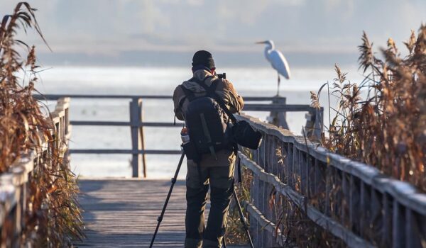 Key photojournalists in history